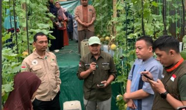 Panen Raya Melon Inthanon: Kolaborasi Institut SEBI, Zakat Sukses, dan Wakaf Sukses