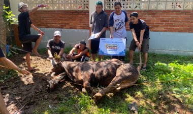 Institut SEBI Salurkan Hewan Qurban Program Kemaslahatan BPKH dan LAZ Persis untuk Karyawan dan Masyarakat