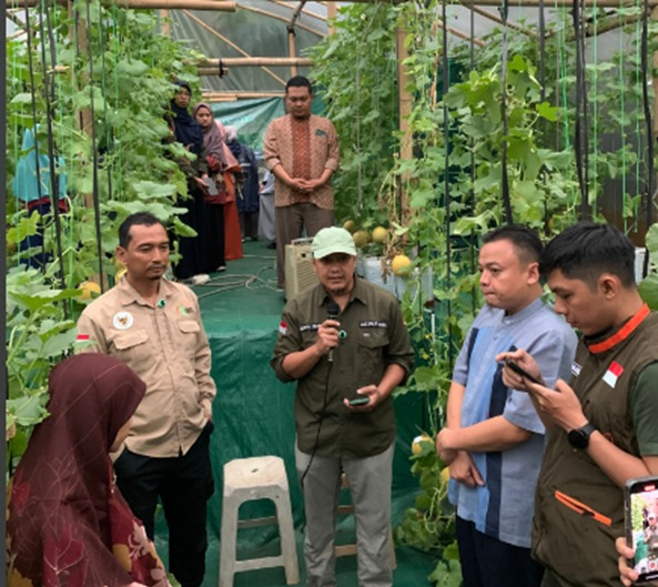 Successful First Harvest of Premium Melons at SEBI Sukses Farm: Pick Your Own and Delivery Options Available!